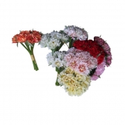 БУКЕТЧЕ 9бр. МИНИ ГЕРБЕРИ 21см