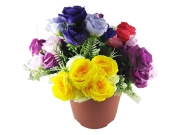 БУКЕТЧЕ 7цветчета РОЗА със зелено-бели клонки  30см