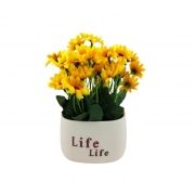 ИЗК.ЦВЕТЕ МАРГАРИТКИ В ПВЦ САКСИЯ ЕКРЮ 20см Life В76134