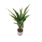 ИЗК.ЦВЕТЕ АЛОЕ В БЯЛА КЕРАМ. САКСИЯ 40см В77503