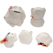 КЕРАМИЧНА КАСИЧКА  ЗА ОЦВЕТЯВАНЕ  к-кт  