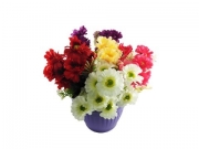 БУКЕТЧЕ ДИМИТРОВЧЕ С БЯЛА КЛОНКА 29см 6 цветчета 