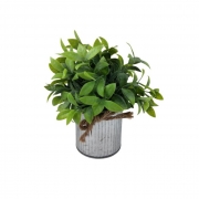 ИЗК.ЦВЕТЕ ЗЕЛЕНО В МЕТАЛНА САКСИЯ 19см В77496