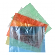 ПАПКА  ПВЦ С КОПЧЕ прозр.каре А4 35х25см.LG-9625