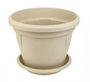 САКСИЯ ГЕРБЕР Ф17см БЕЖОВА /020412/